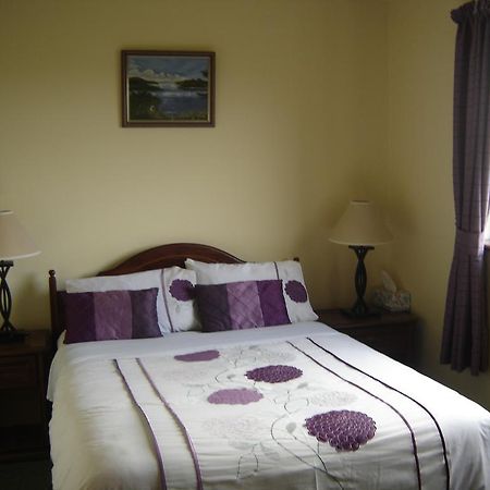 Springlawn Bed & Breakfast Clarinbridge Bilik gambar