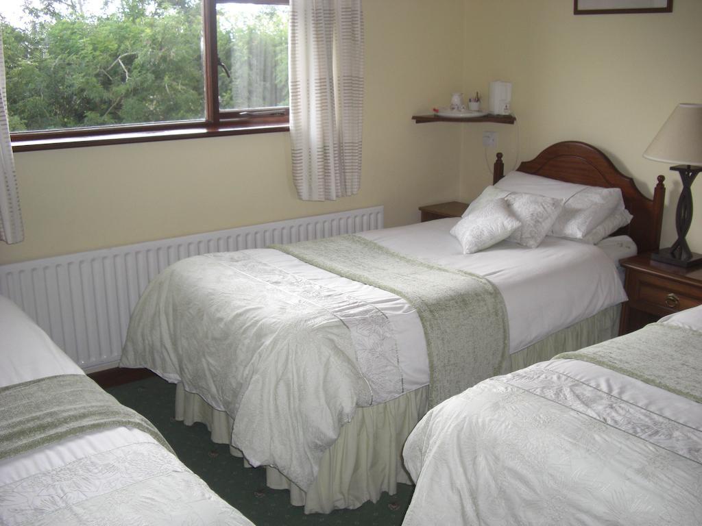 Springlawn Bed & Breakfast Clarinbridge Bilik gambar