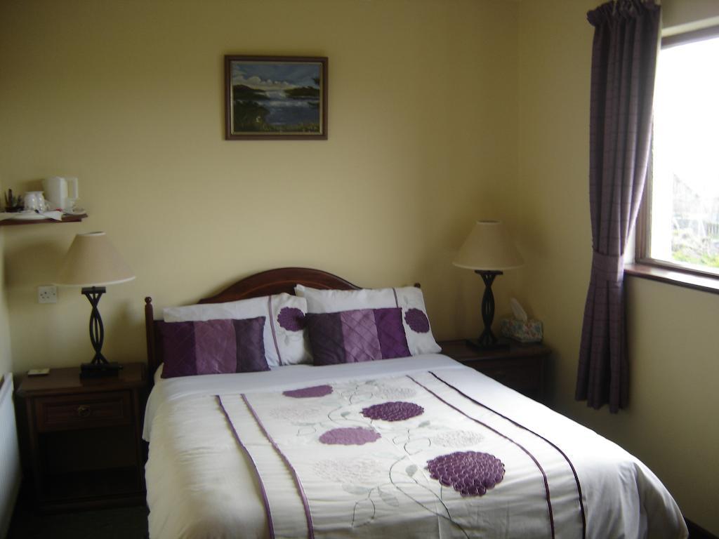 Springlawn Bed & Breakfast Clarinbridge Bilik gambar
