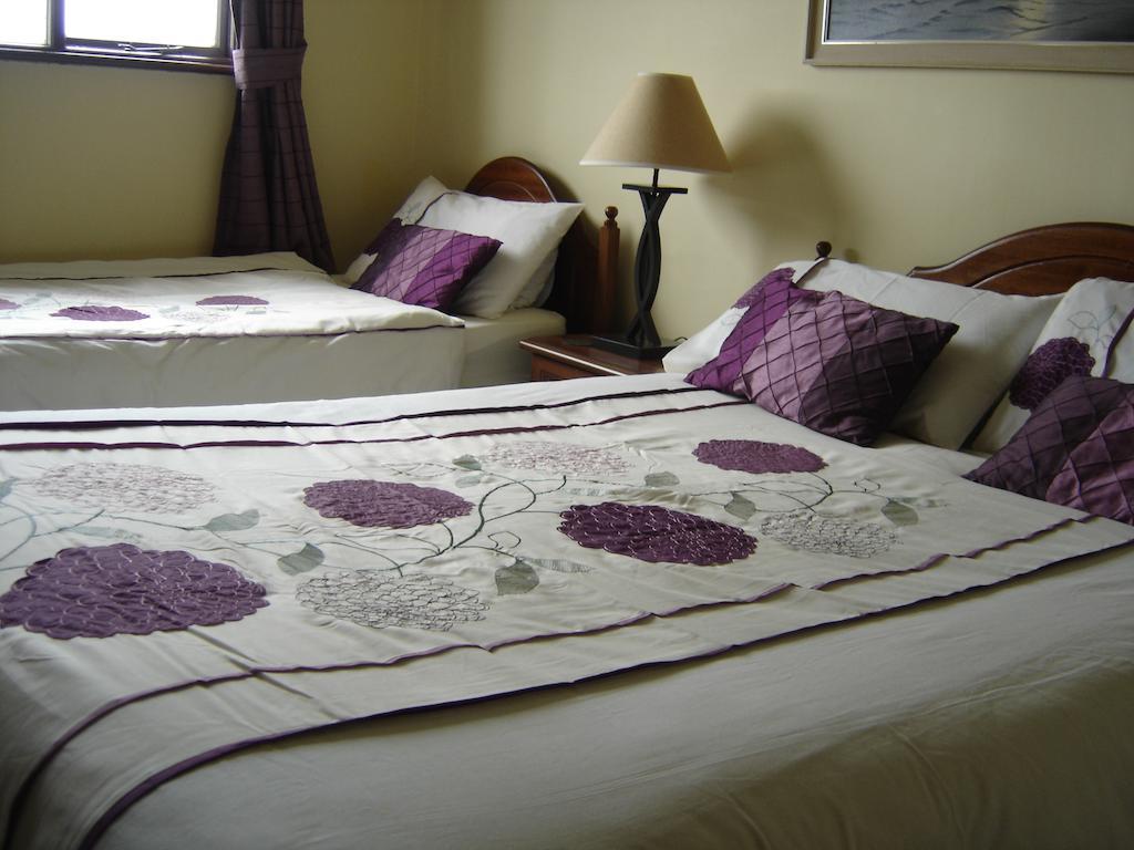 Springlawn Bed & Breakfast Clarinbridge Bilik gambar